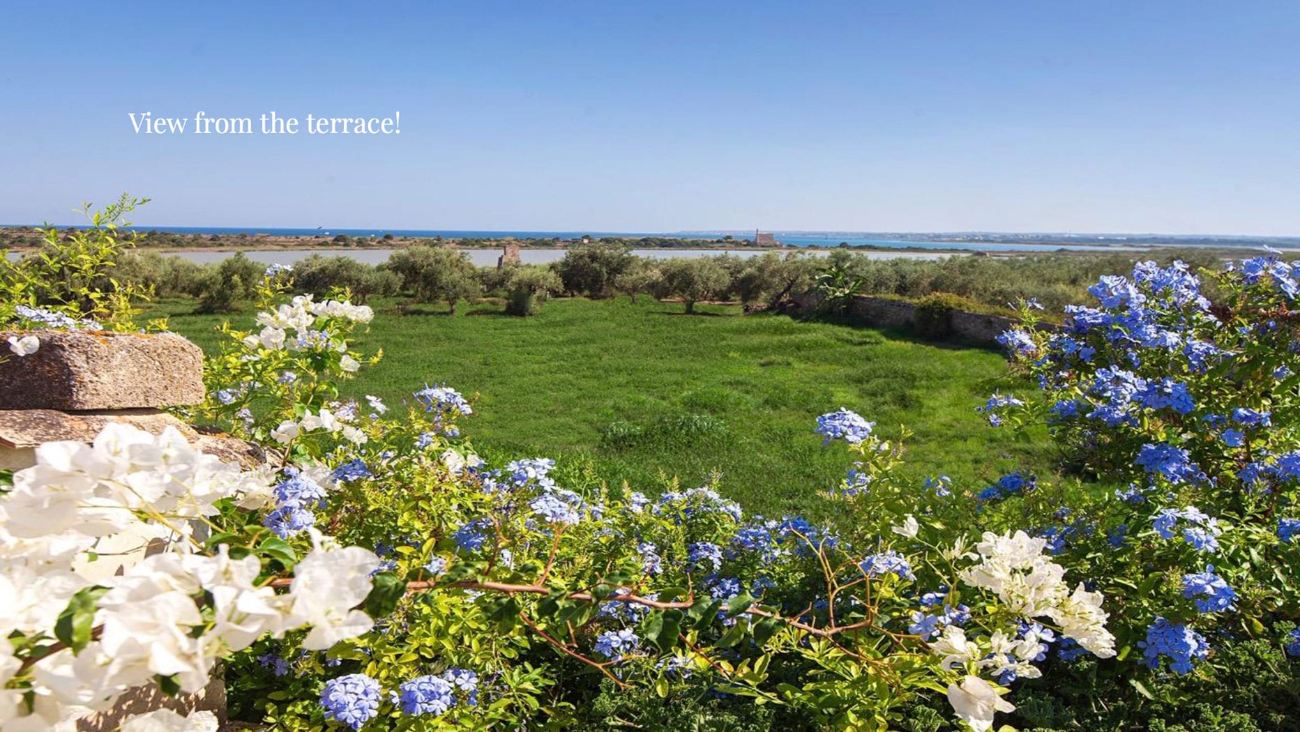 Schermata-2021-07-12-alle-17.01.08